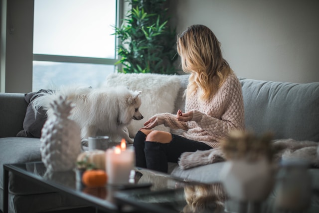 A woman distracted by pet in her home office